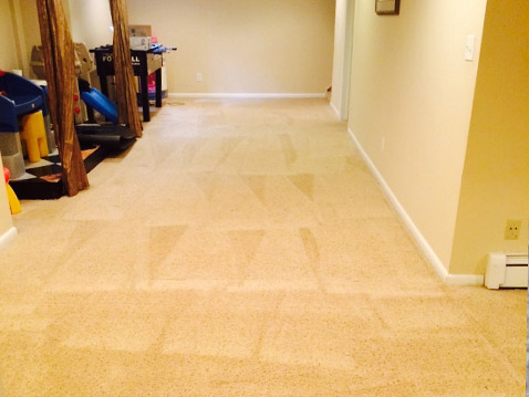 Carpet Cleaning Advice for Residents in Denver