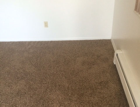 Want Carpets in Your Arvada Home That Last? Pay Attention to These Carpet Cleaning Words of Advice